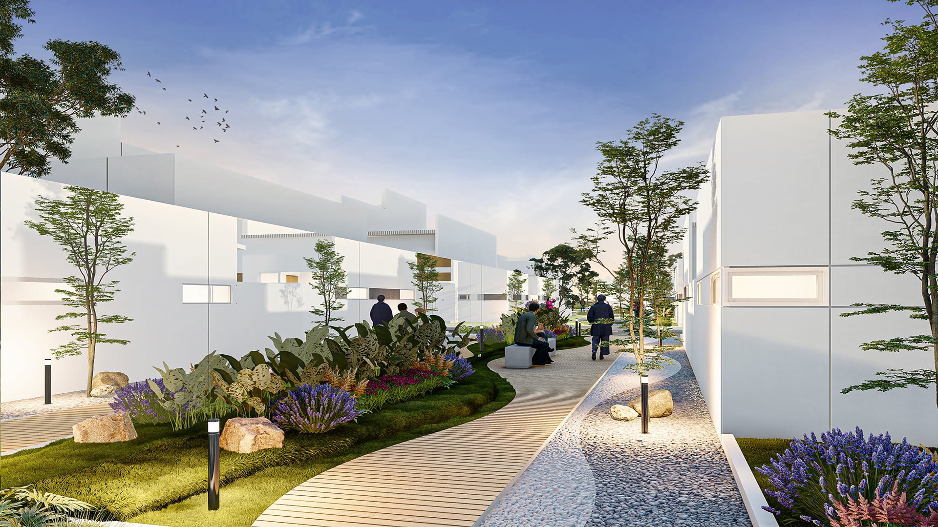 18. LANDSCAPE ZONA D